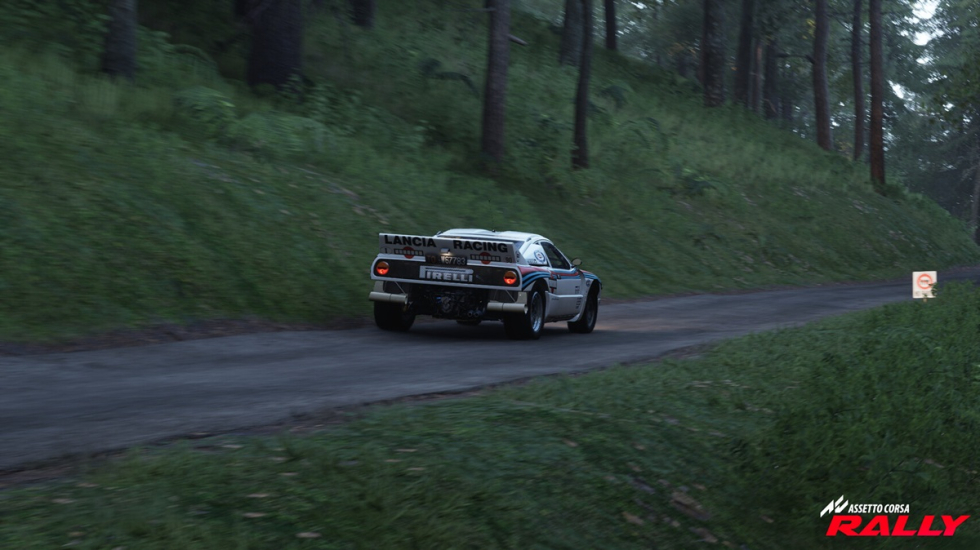 Assetto_Corsa_Rally_3.jpg
