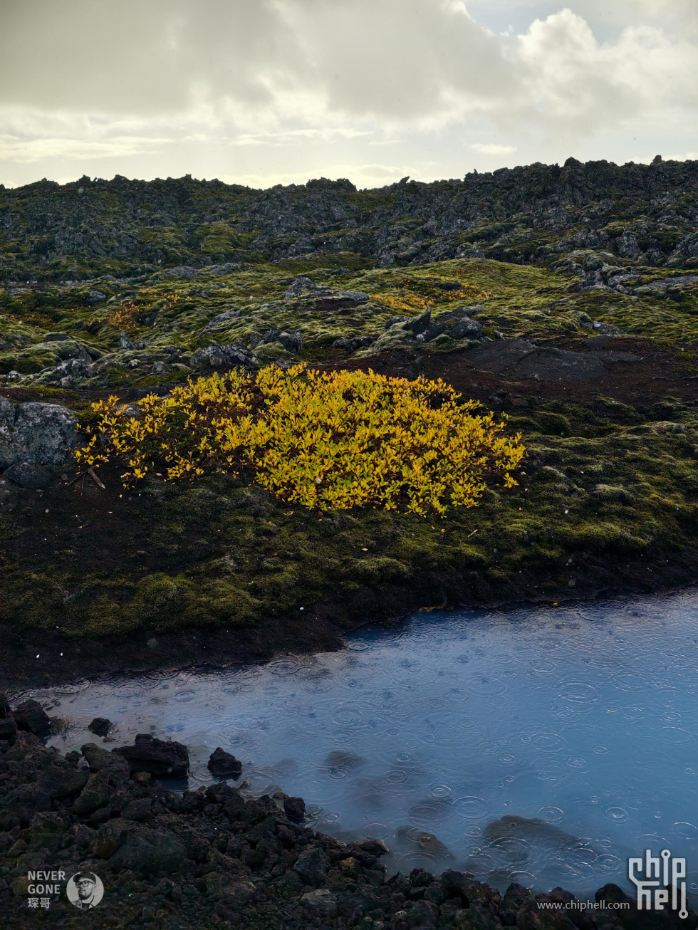 P_071.jpg