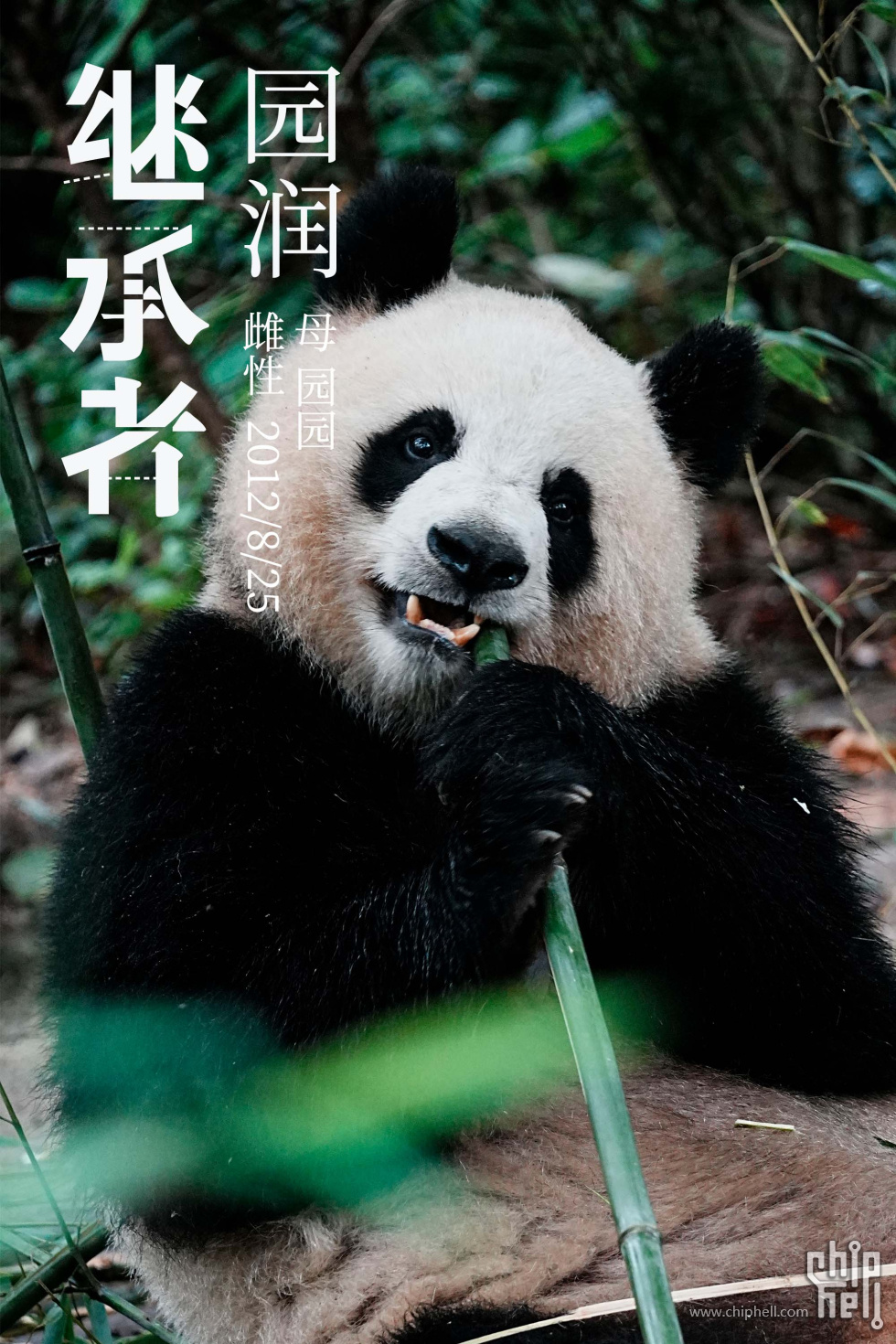 园润.jpg