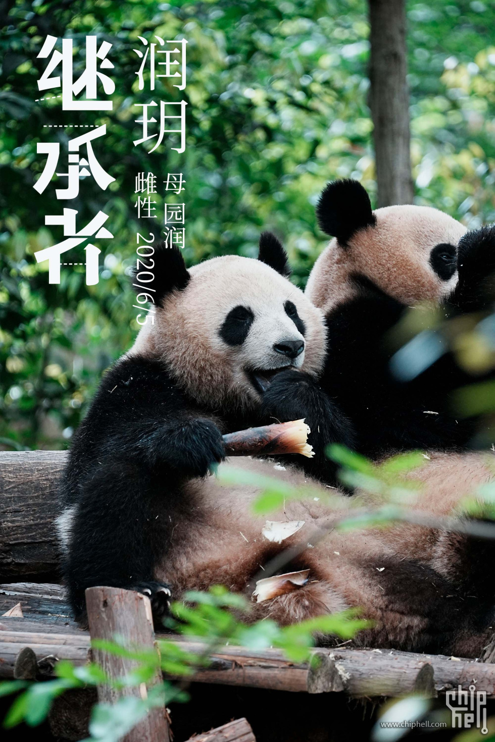 润玥2.jpg