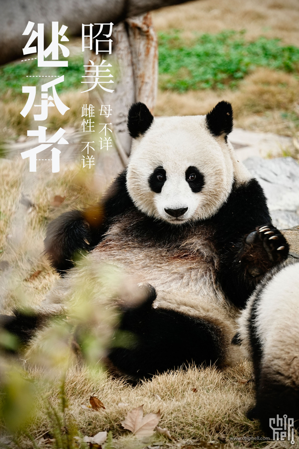昭美.jpg