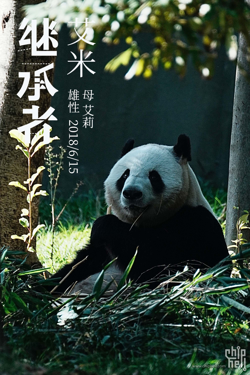 艾米.jpg