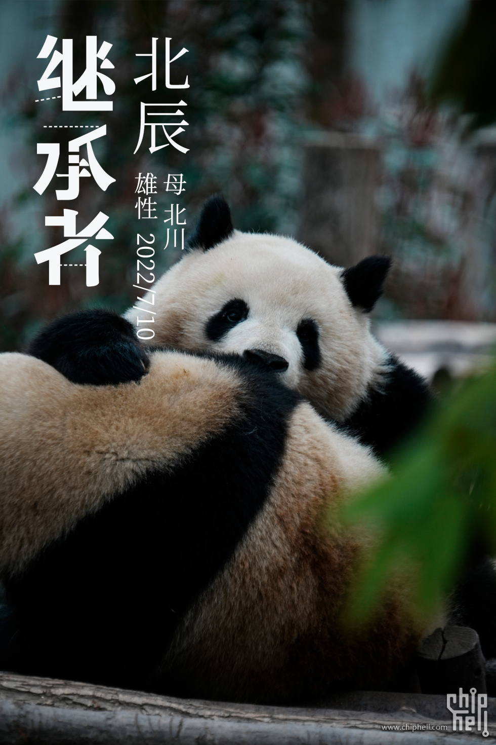 北辰.jpg
