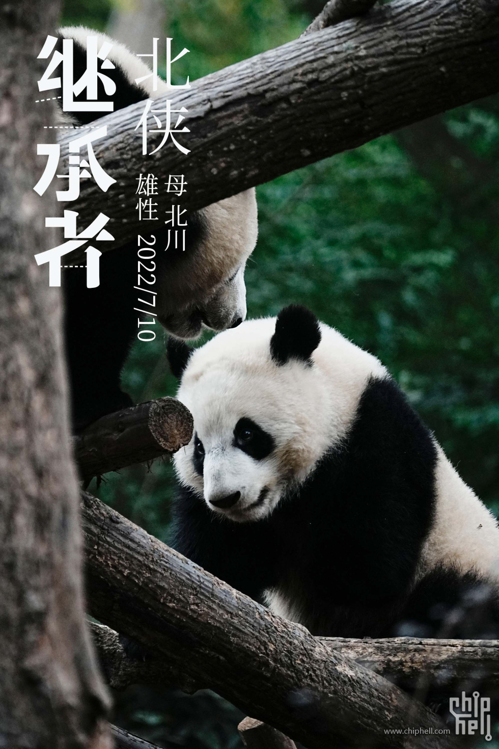 北侠.jpg