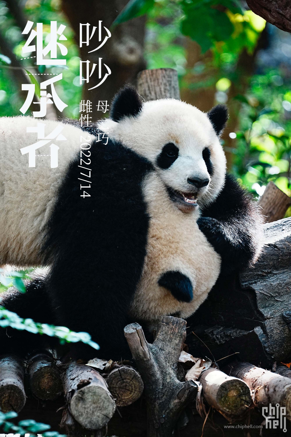 吵吵.jpg