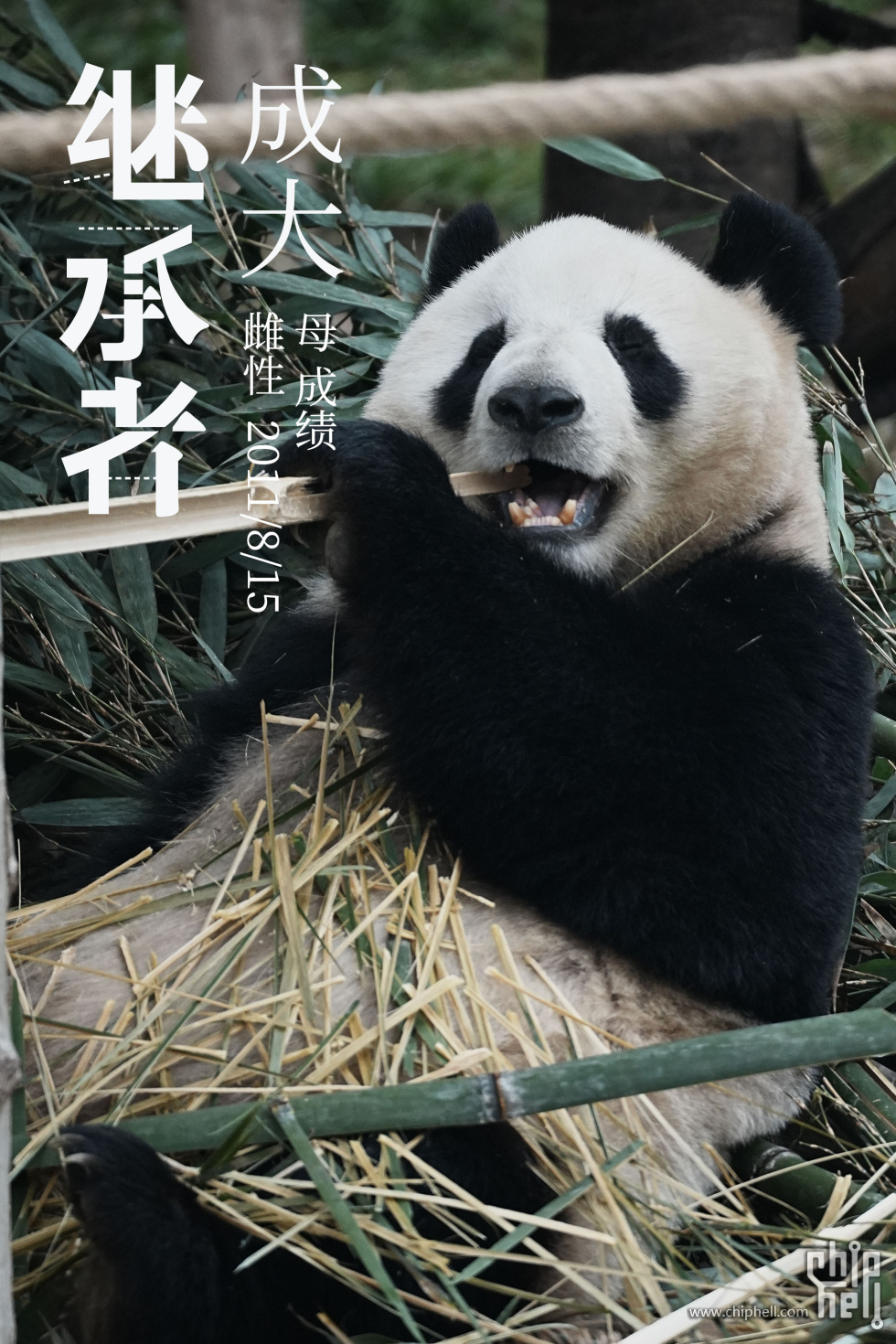 成大.jpg