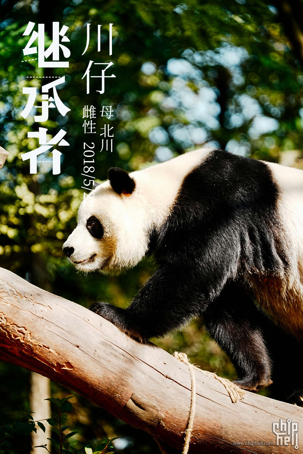 川仔.jpg