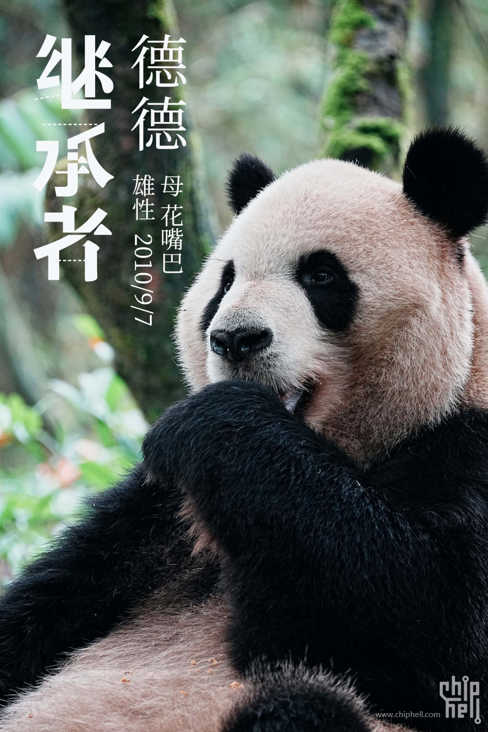 德德.jpg