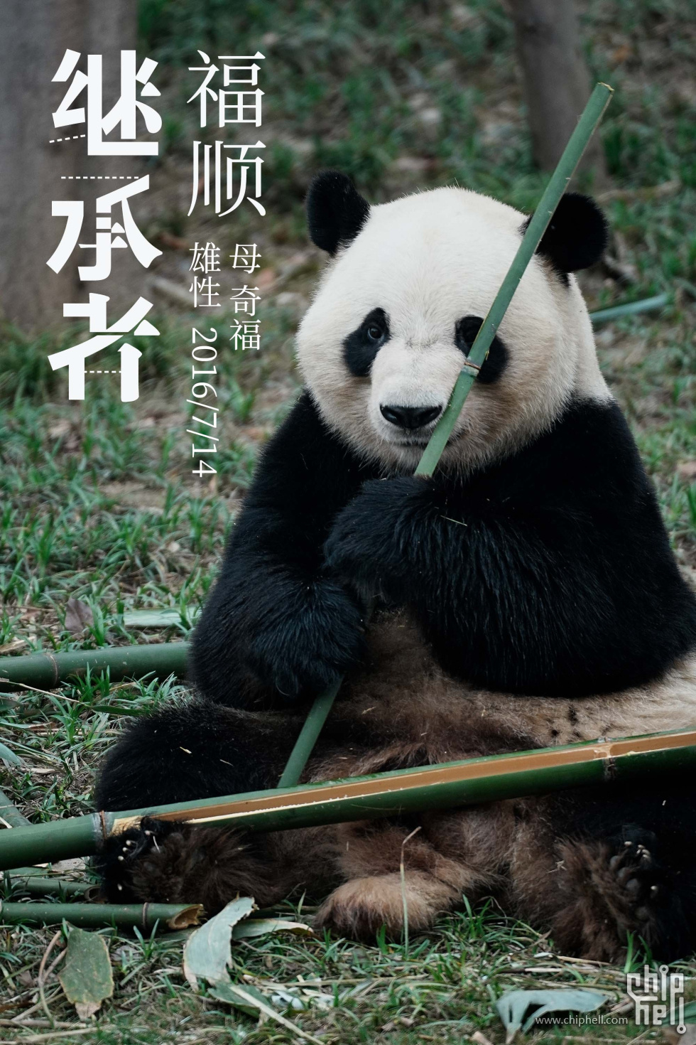福顺.jpg