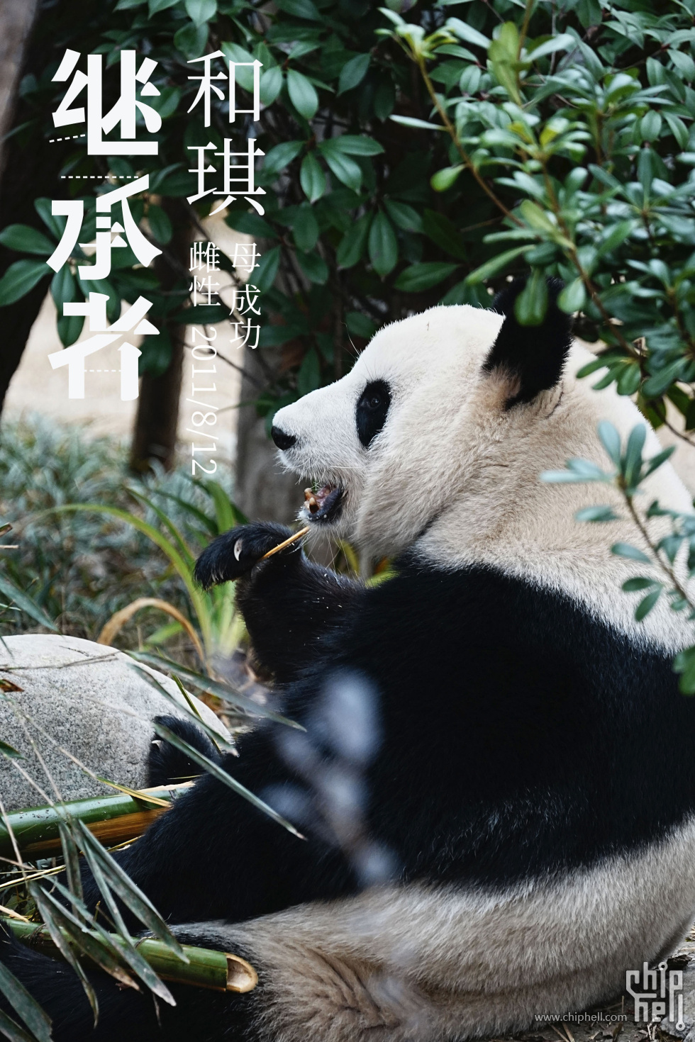 和琪.jpg