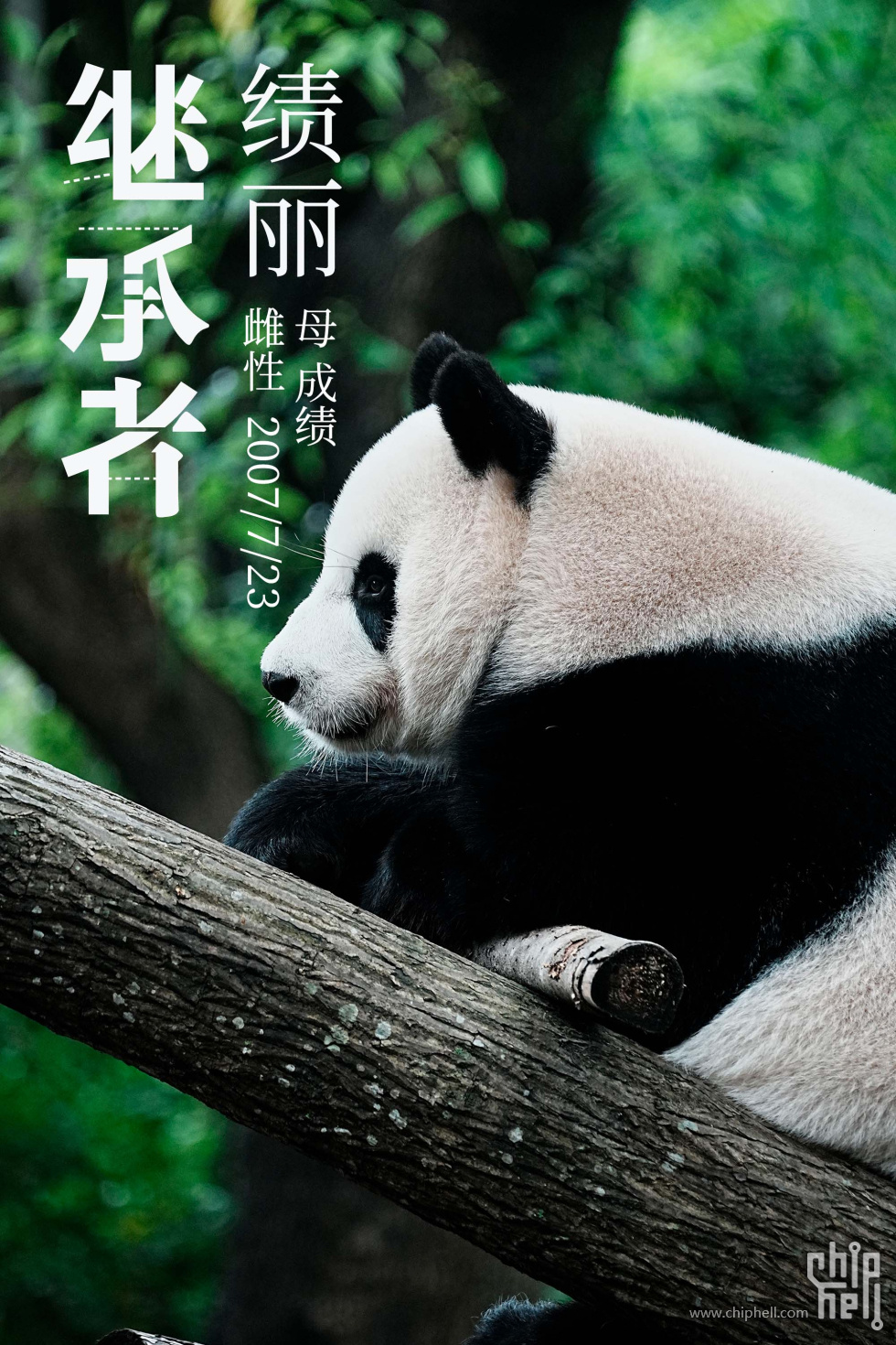 绩丽.jpg