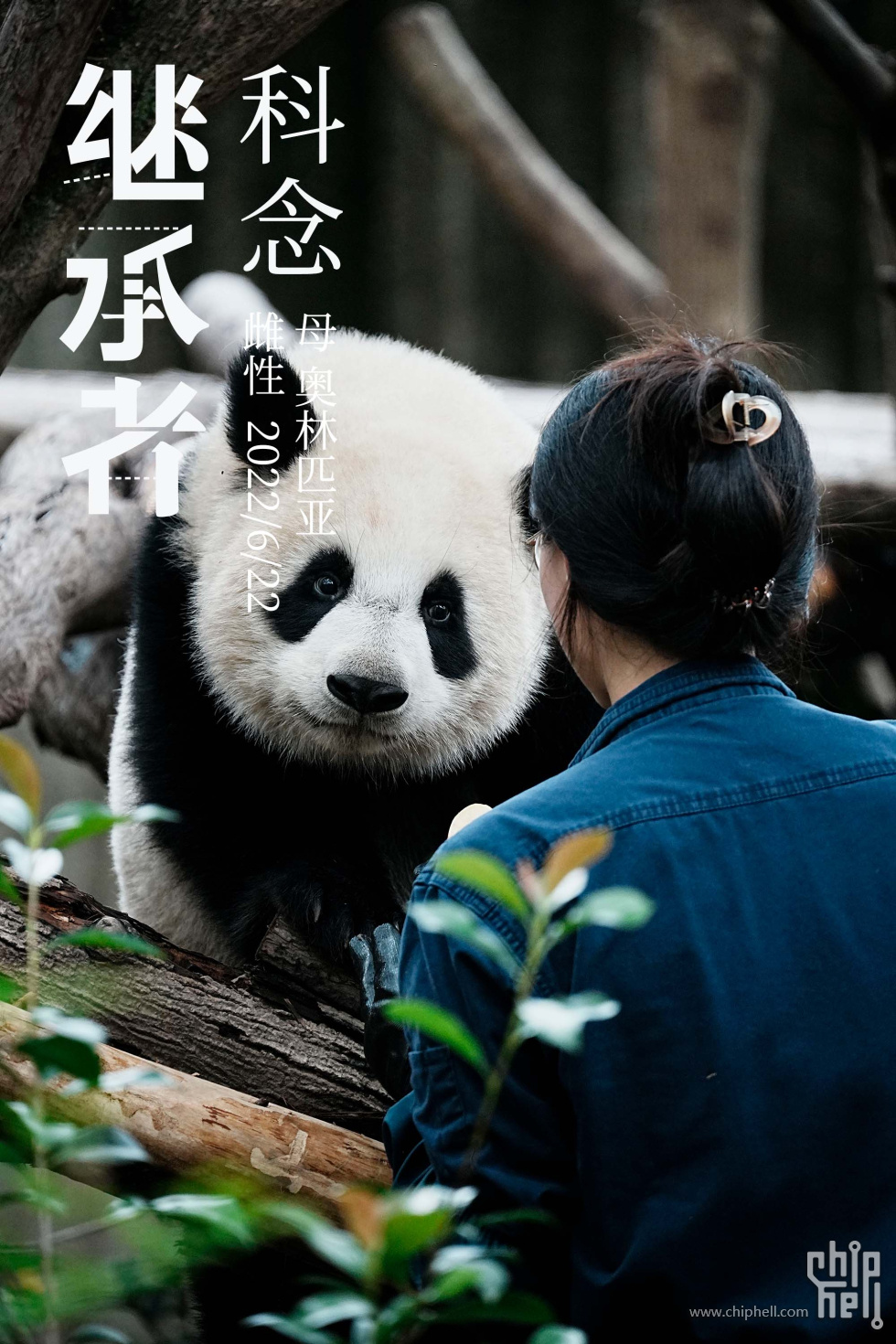 科念.jpg