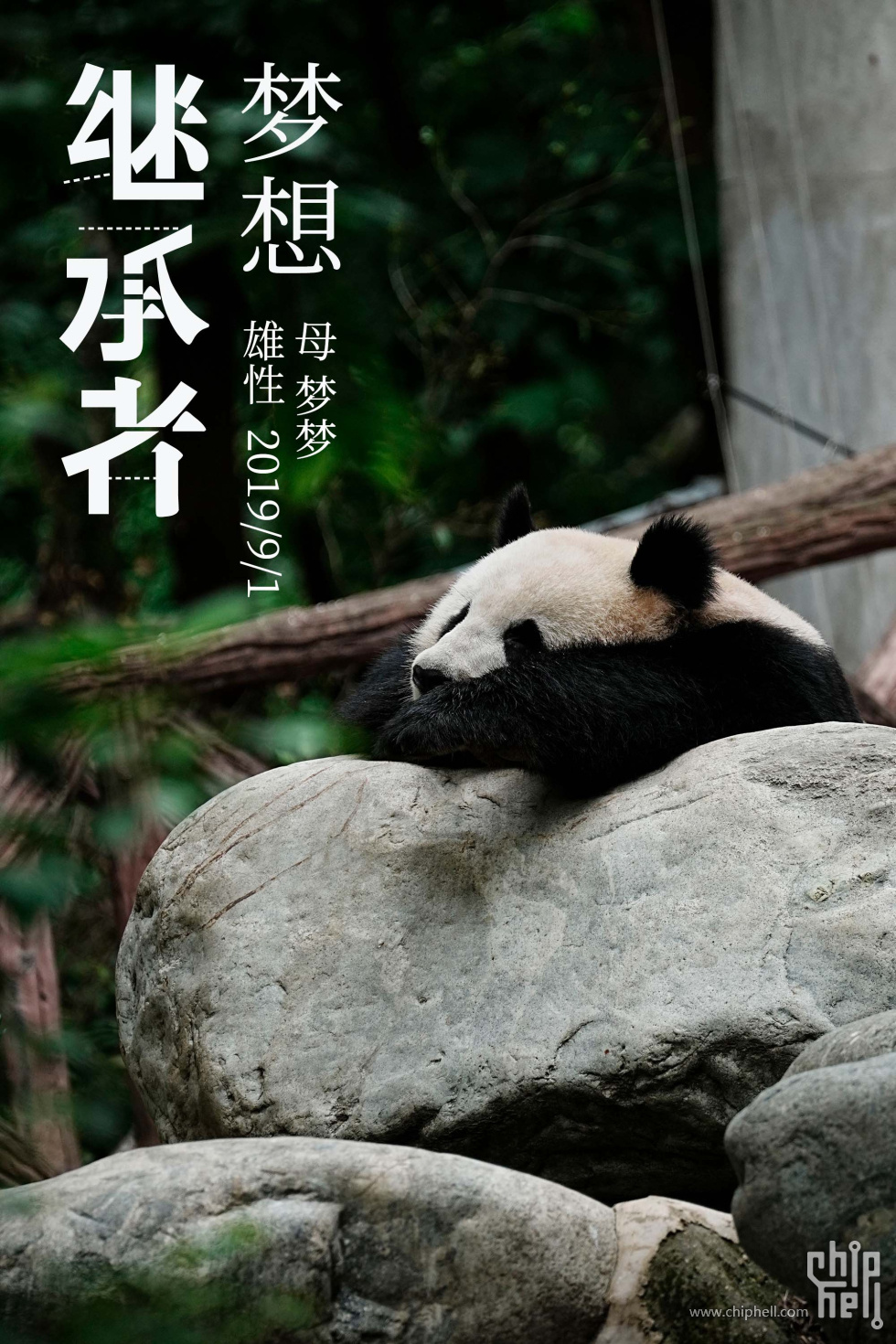 梦想.jpg