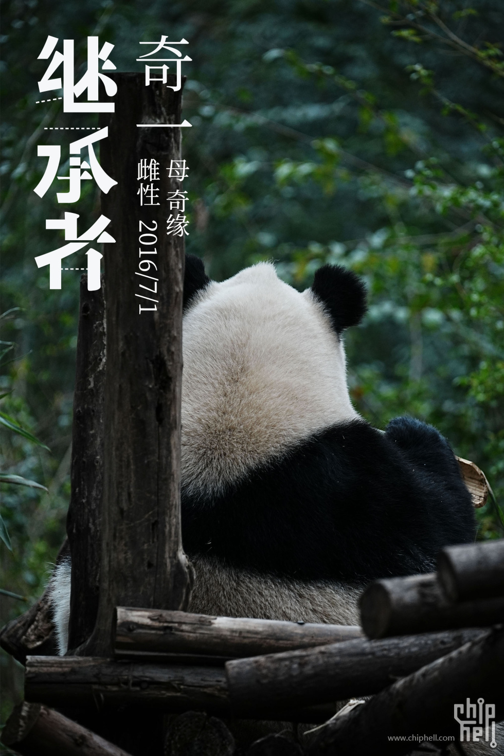 奇一.jpg