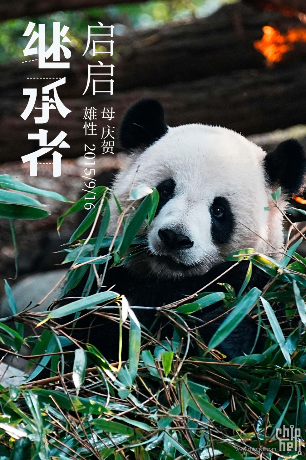 启启.jpg