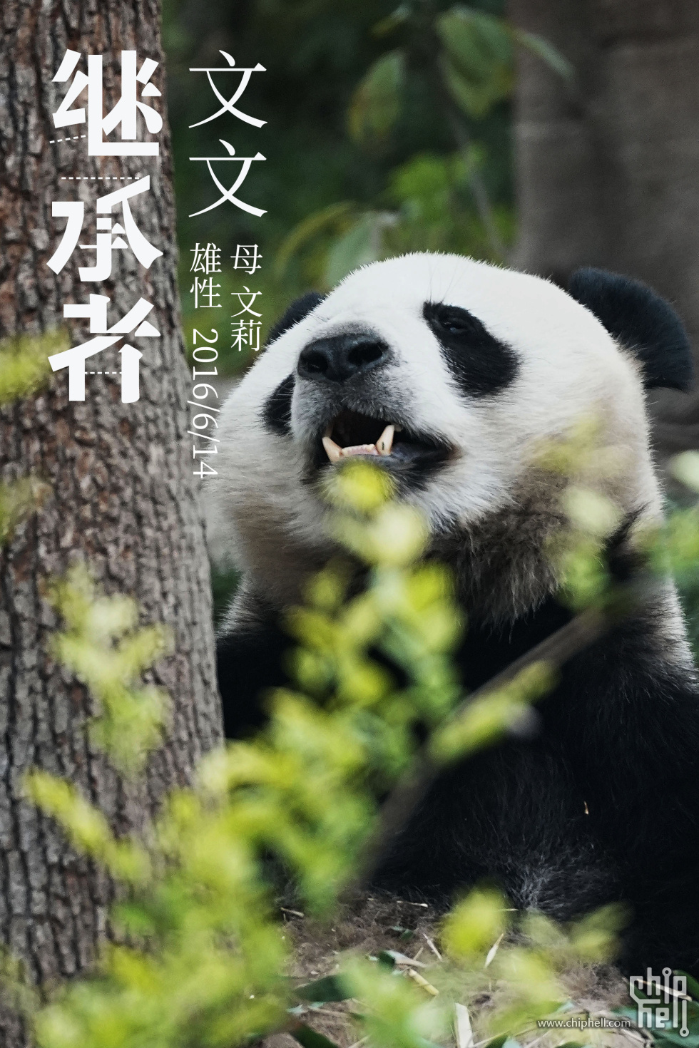文文.jpg