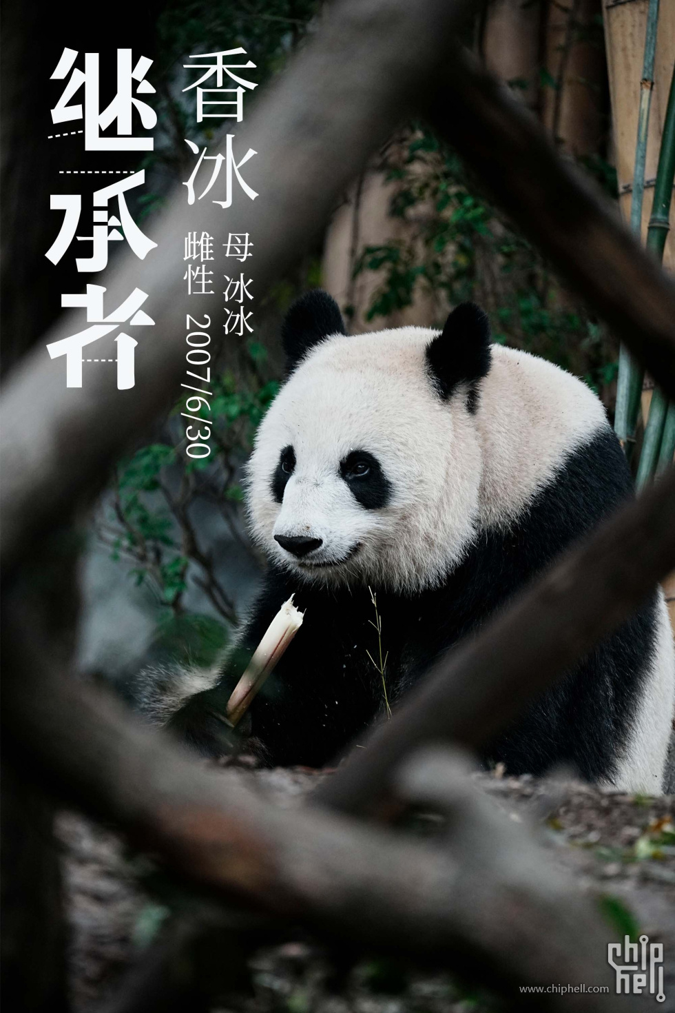 香冰.jpg