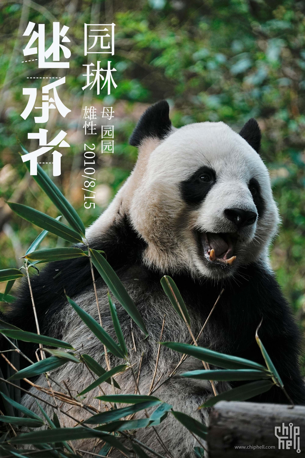 园琳.jpg