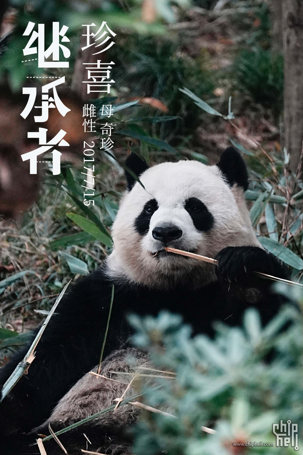 珍喜.jpg