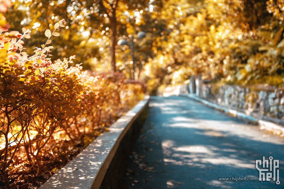 R2S07368-2s.jpg