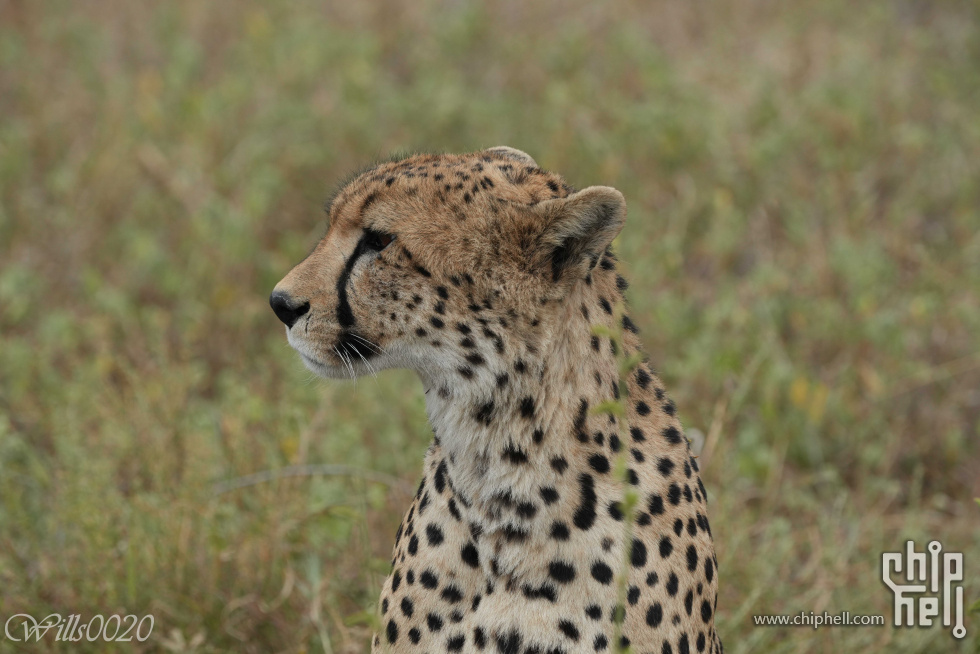DSC00383.jpg