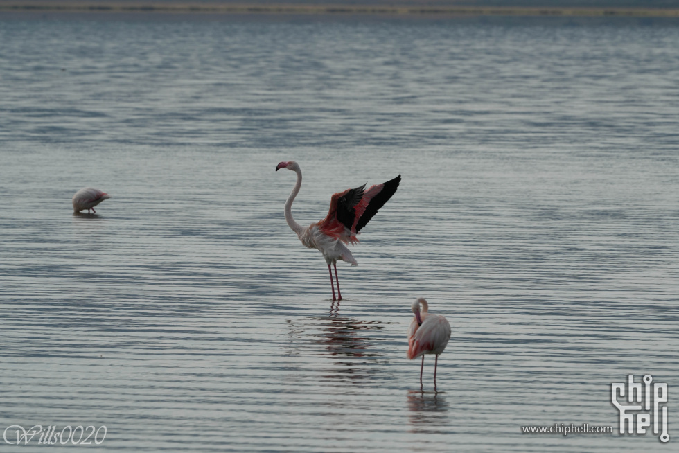 DSC01134.jpg