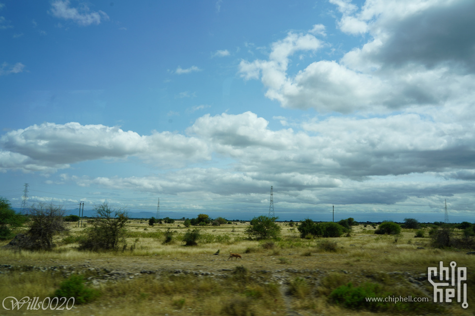 DSC07390.jpg