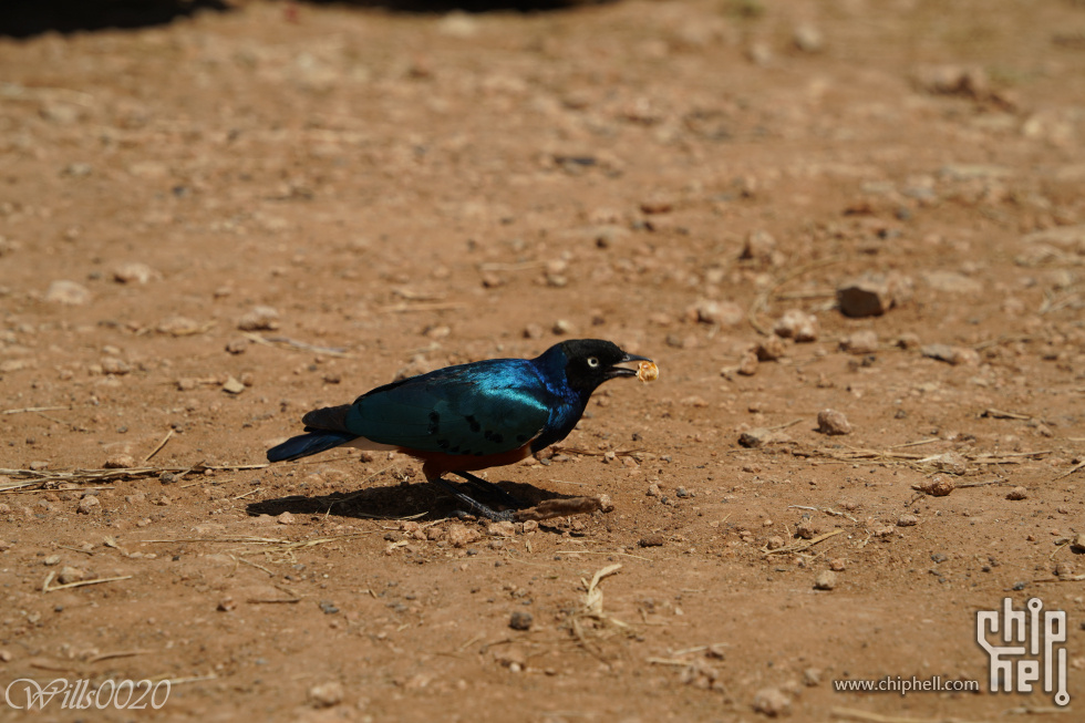 DSC07414.jpg