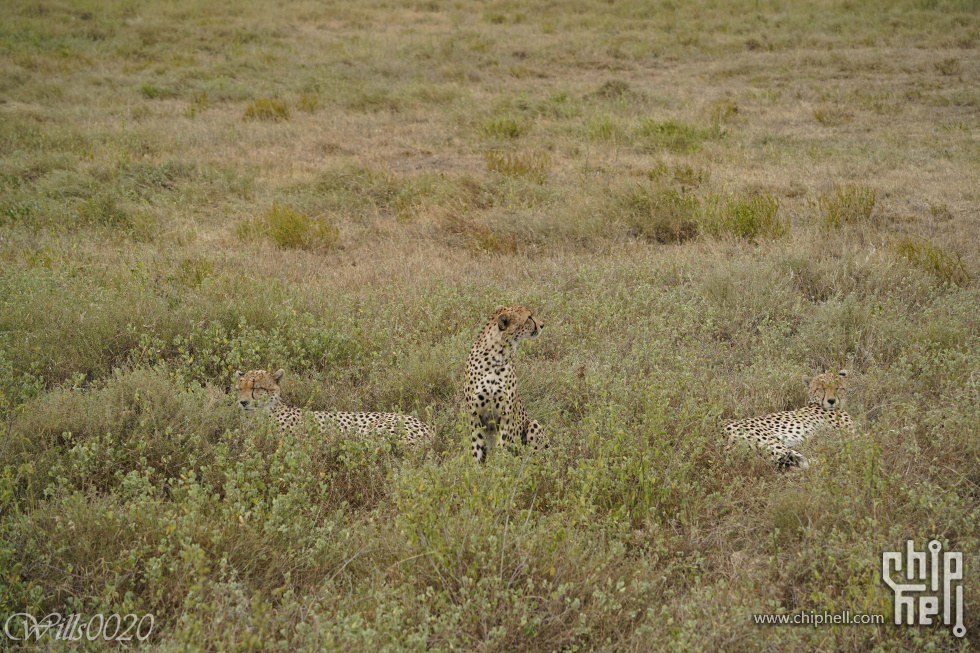 DSC07625.jpg