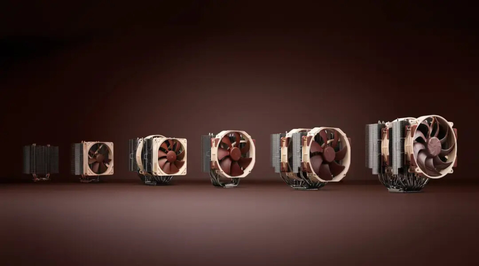 Noctua_20Y_1.jpg
