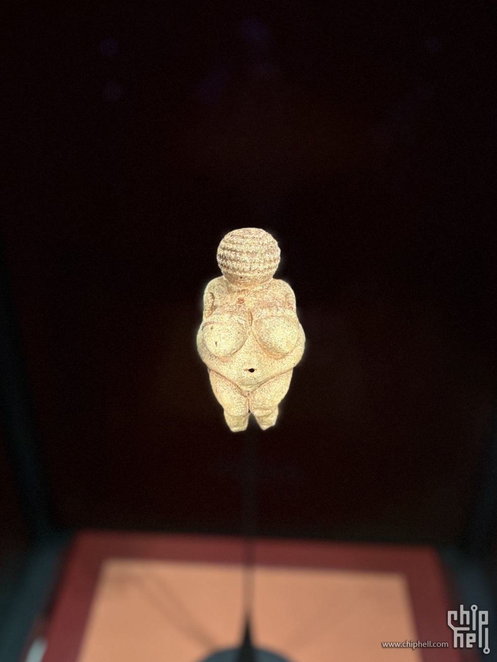 1309.jpg