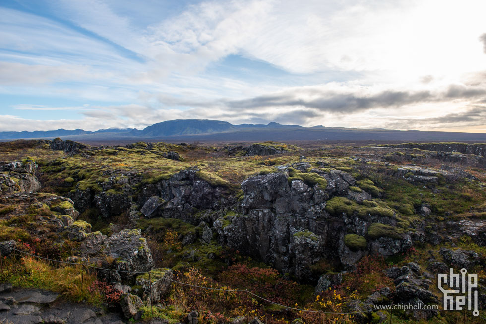 _DSC7242s.jpg