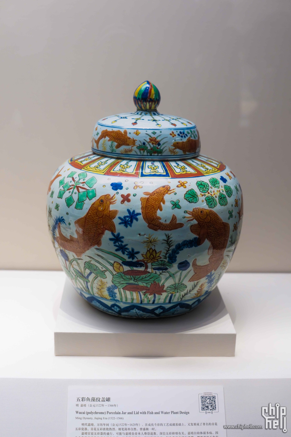 明代万历款五彩鱼藻纹盖罐.jpg