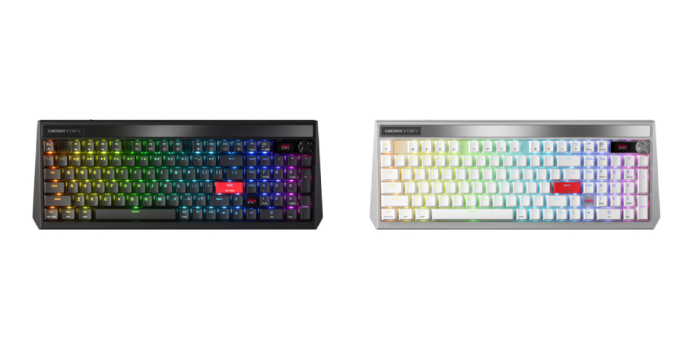 CHERRY PIXIU 99_1.jpg