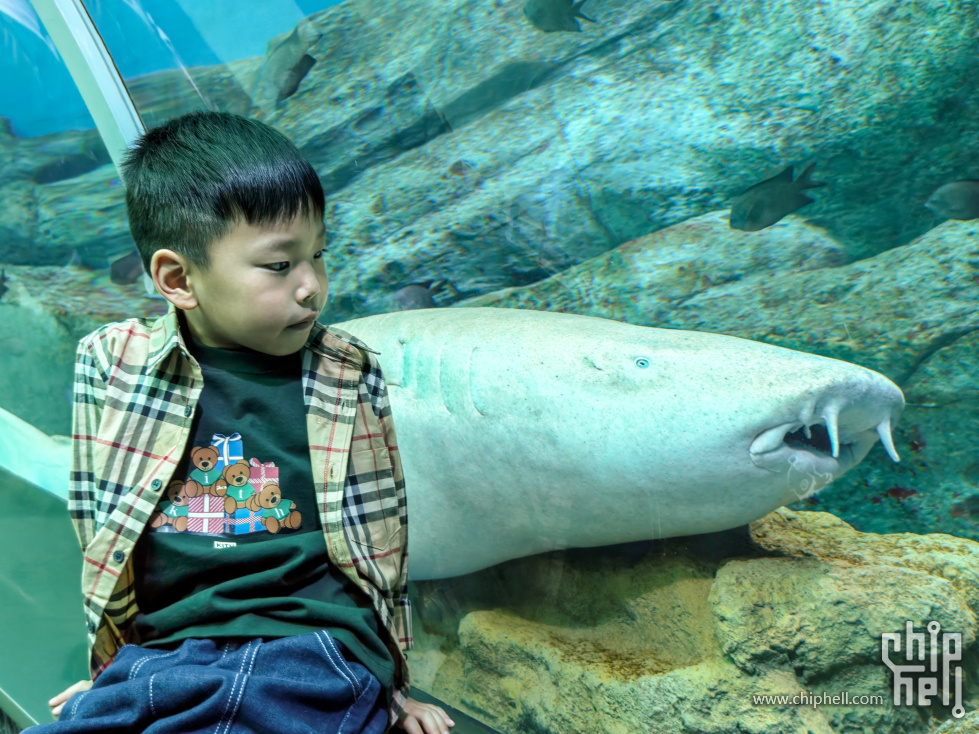 IMG20251022165314 (1).jpg