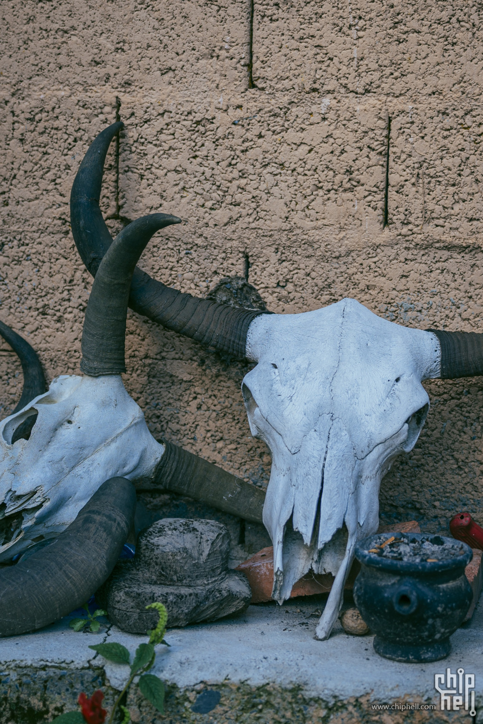 _DSC8131 (Custom).jpg