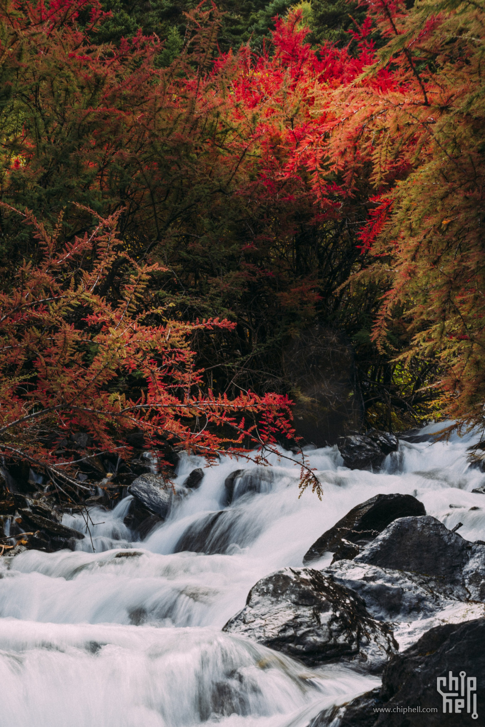 _DSC8643-2 (Custom).jpg