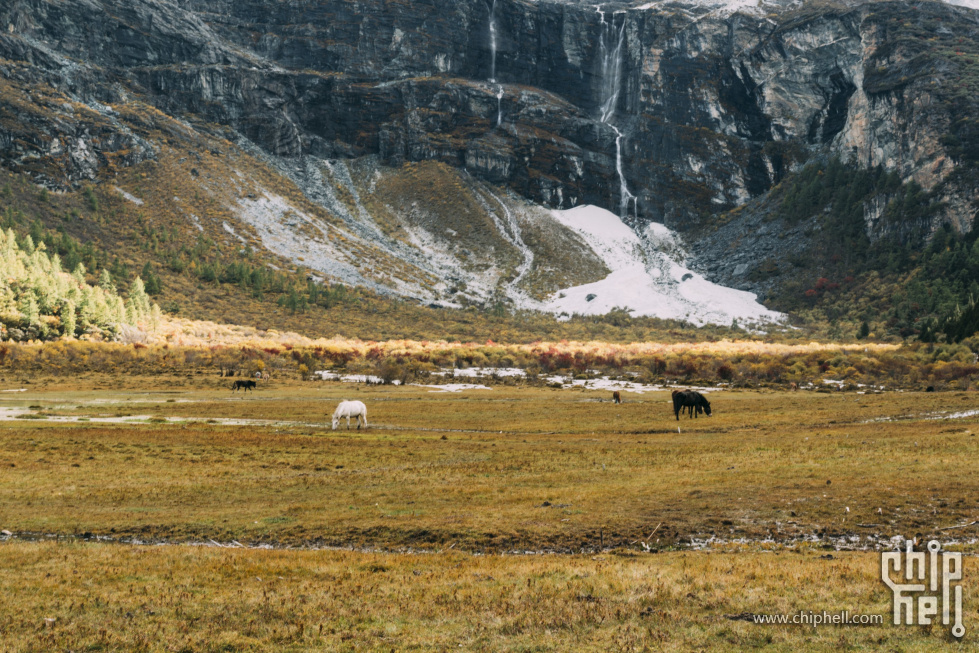 _DSC8749 (Custom).jpg