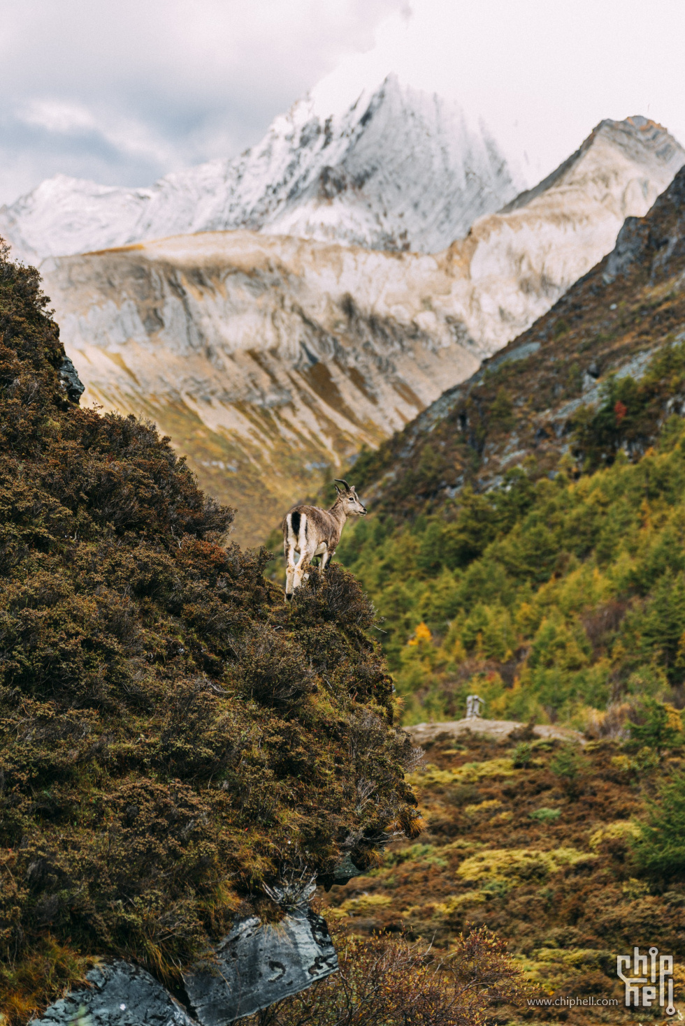 _DSC8762 (Custom).jpg