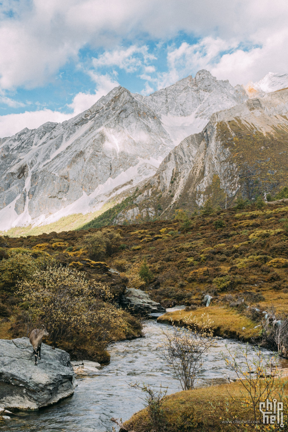 _DSC8767 (Custom).jpg