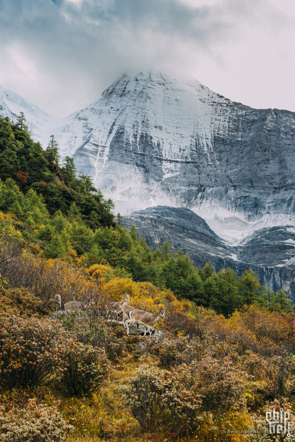 _DSC8780 (Custom).jpg