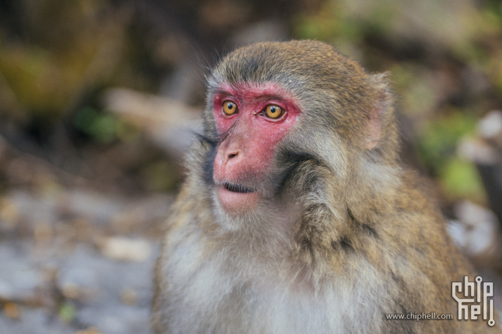 _DSC8794 (Custom).jpg