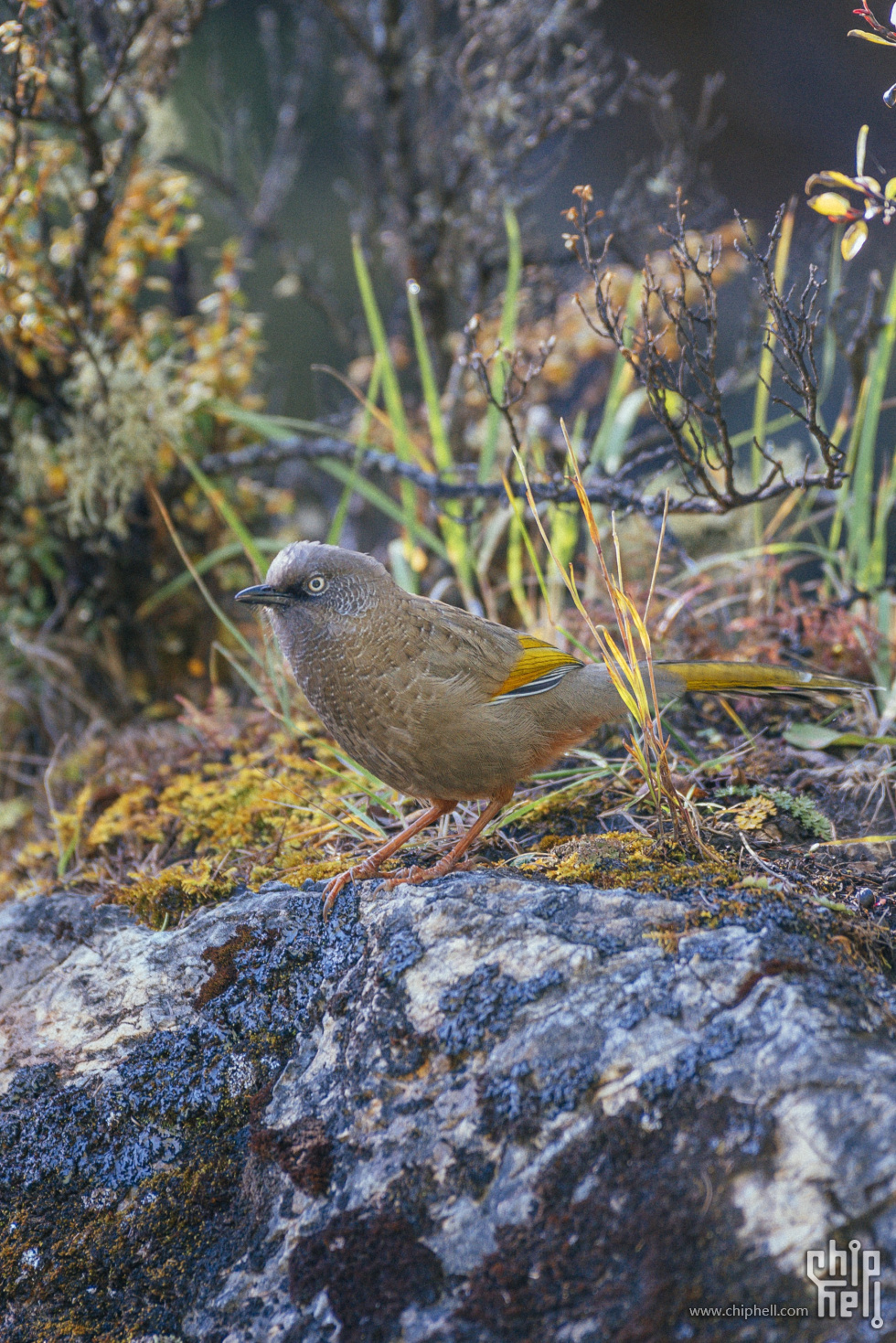 _DSC8826-2 (Custom).jpg