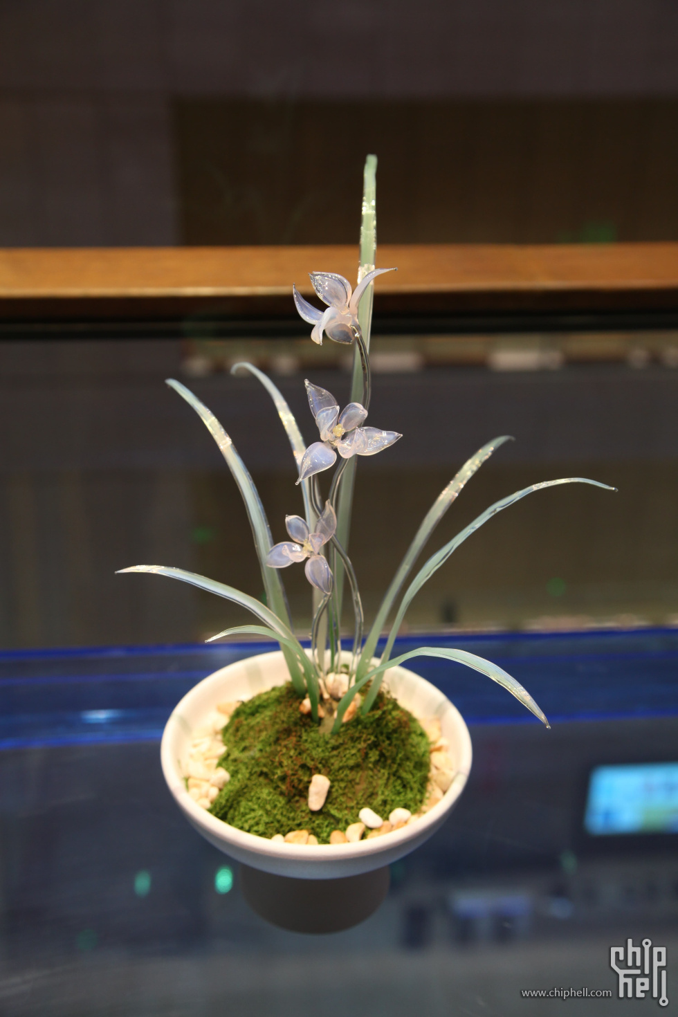 很惊艳的玉石兰花