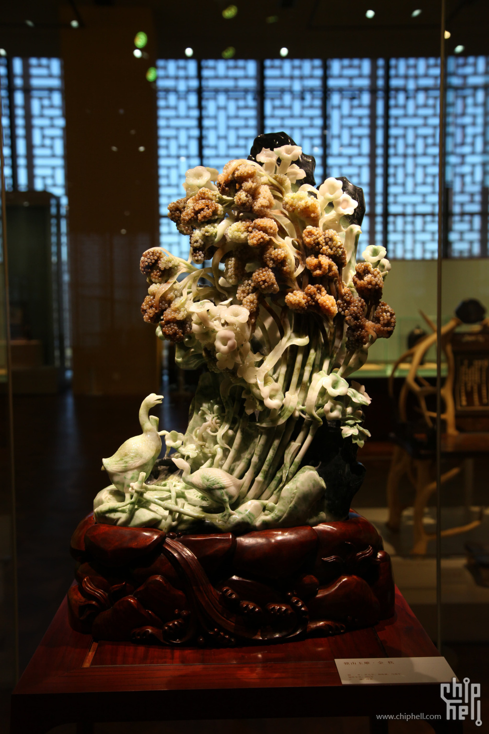 这个肯定也特别贵