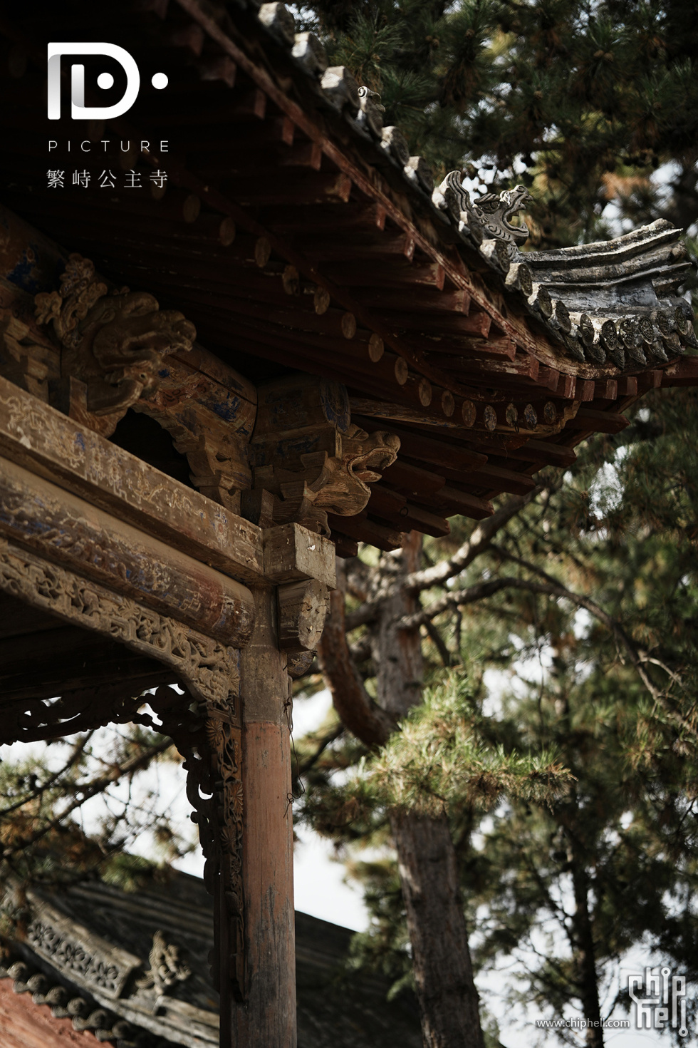 繁峙公主寺 (68).JPG