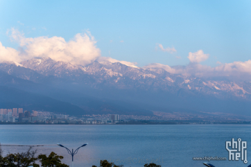 一组洱海和滇池的海鸥