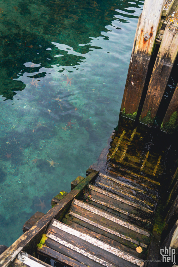 挪威秋韵，峡湾森境