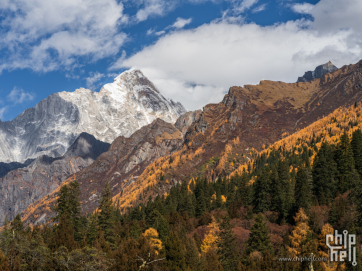 2025年的脚步足迹