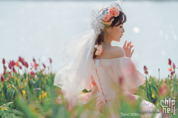 人像 | Tulipa gesneriana